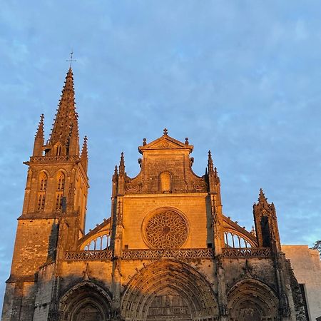 بازاس Le Clos De La Cathedrale المظهر الخارجي الصورة