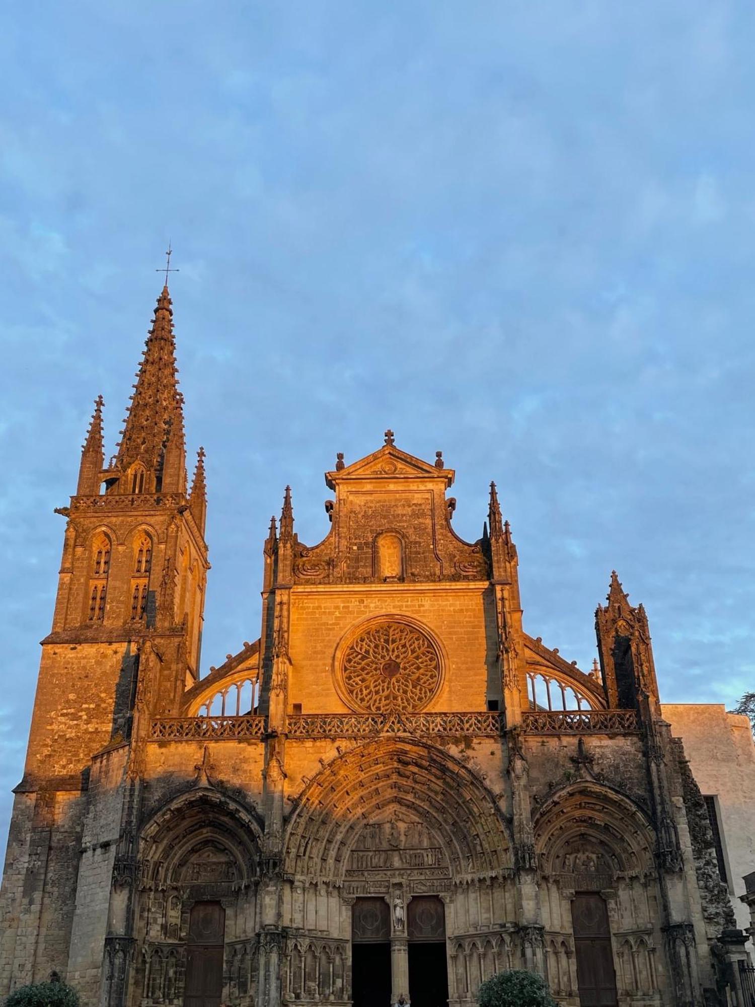 بازاس Le Clos De La Cathedrale المظهر الخارجي الصورة